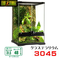 楽天市場】エキゾテラ グラステラリウム 3045の通販