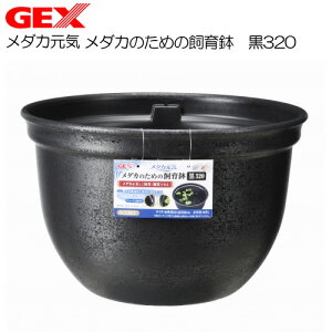 GEX@_JC _Ĵ߂̎甫 320y/Mы/Ϗ܋/zýzyʔ/̔zyANAE/肤ށzy^z