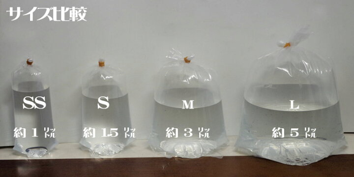 楽天市場 ネオス 観賞魚用丸底ビニール袋 Lサイズ 袋10枚 輪ゴム本 水槽 熱帯魚 観賞魚 飼育 生体 通販 販売 アクアリウム あくありうむ 小型 ネオス 楽天市場店