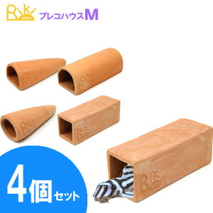 LWp@vRnEXMTCY@4Zbg@y/Mы/Ϗ܋/zýzyʔ/̔zyANAE/肤ށzy^z