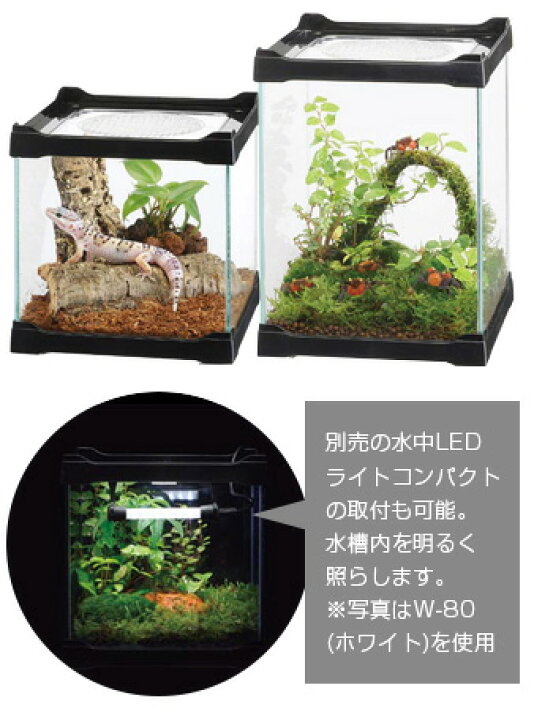楽天市場 水作 コレクターズ High ハイタイプ ホワイト 水槽セット 飼育セット アクリル水槽 小型水槽 新着 ネオス 楽天市場店