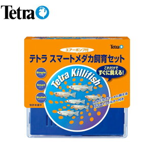 eg@X}[g_JZbg SP-17KFyZbgzyZbgz@y/Mы/Ϗ܋/zýzyʔ/̔zyANAE/肤ށzy^z