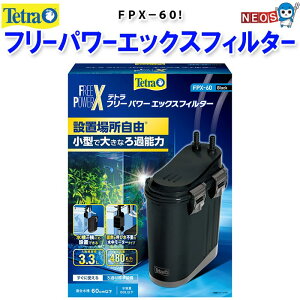 eg@t[p[GbNXtB^[@FPX|60