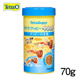 楽天市場 グッピー 餌の通販