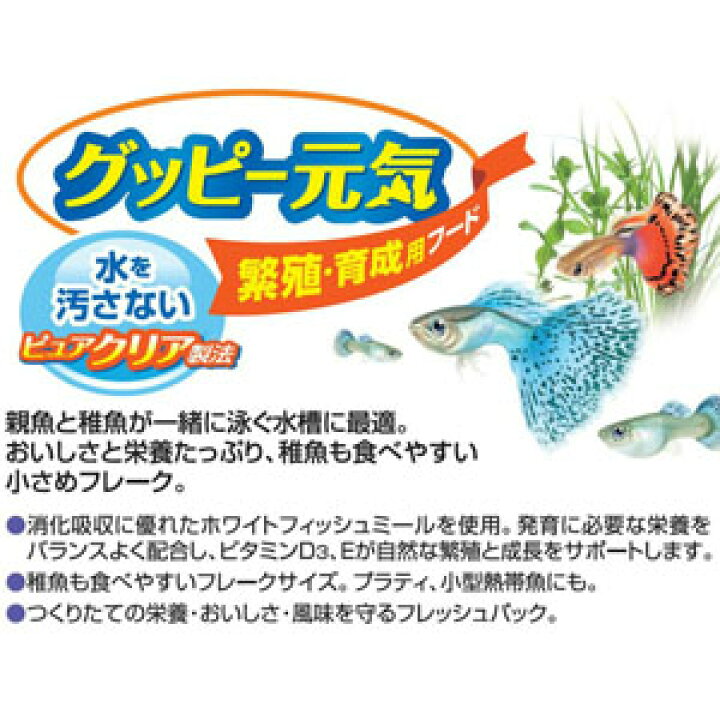 楽天市場 Gex グッピー元気 繁殖 育成用フード 52g 餌 えさ エサ 観賞魚 餌やり 水槽 熱帯魚 観賞魚 飼育 生体 通販 販売 アクアリウム あくありうむ 小型 ネオス 楽天市場店 楽天市場 Gex グッピー元気 繁殖 育成用フード 52g 餌 えさ エサ 観賞魚 餌やり 水槽 熱帯魚 観賞魚 飼育 生体 通販 販売 アクアリウム あくありうむ 小型 ネオス 楽天市場店