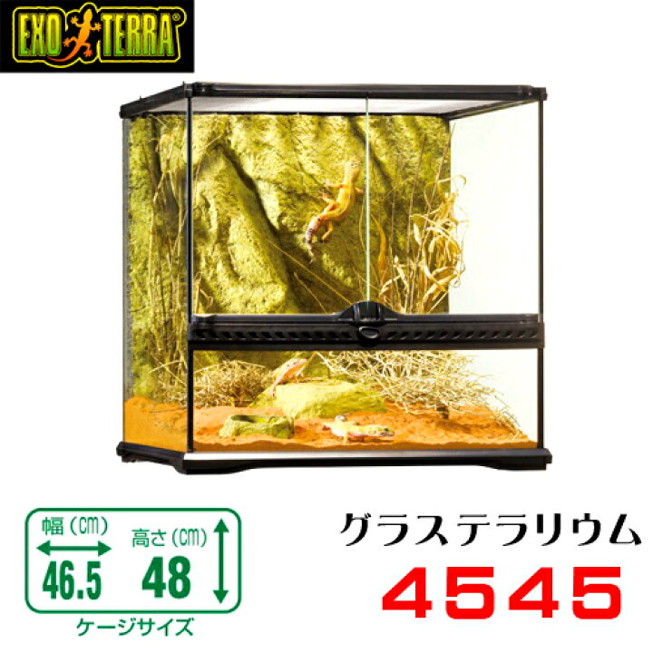 楽天市場】GEX グラステラリウム 4545 爬虫類 飼育 ケージ ガラス  