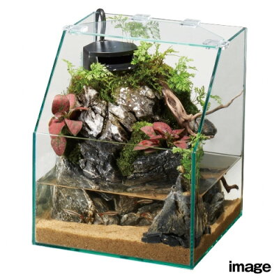 GEXグラステリアアクアテラ200キューブHセット【水槽セット】【飼育セット】【水槽/熱帯魚/観賞魚/飼育/セット水槽/オブジェ】【生体】【通販/販売】【アクアリウム/あくありうむ】