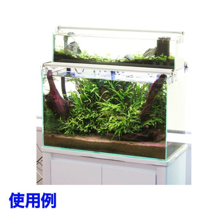 楽天市場 Jun V2ポンプ付き スレンダー６００ Ofセット ６０hz 取寄商品 水槽 熱帯魚 観賞魚 飼育 生体 通販 販売 アクアリウム あくありうむ 小型 ネオス 楽天市場店