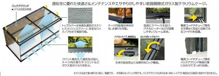 楽天市場】GEX グラステラリウム 4560 爬虫類 飼育 ケージ ガラス 