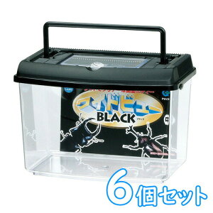 }J@vP[XChr[BLACKijPW-03BLy6ZbgzyVzy/Mы/Ϗ܋/zýzyʔ/̔zyANAE/肤ށzy^z