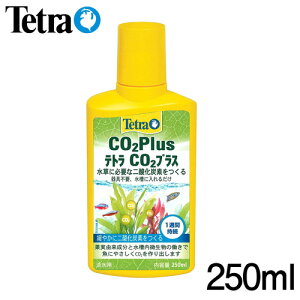 eg@CO2vX@250mly/Mы/Ϗ܋/zýzyʔ/̔zyANAE/肤ށzy^z