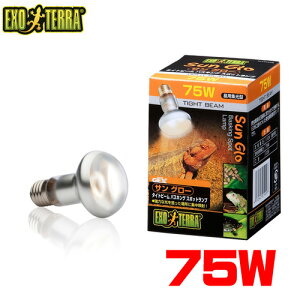 GEX EXO TERRAiGL]ej@TO[ ^Cgr[ X|bgv 75W@PT2136 y/Mы/Ϗ܋/zýzyʔ/̔zyANAE/肤ށzy^z