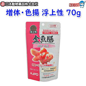 j`hE@V ́EFg 㐫 70g
