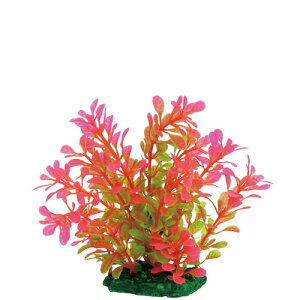 jb\[@~iXvc M-1@NAP-194y/Mы/Ϗ܋/zýzyʔ/̔zyANAE/肤ށzy^z