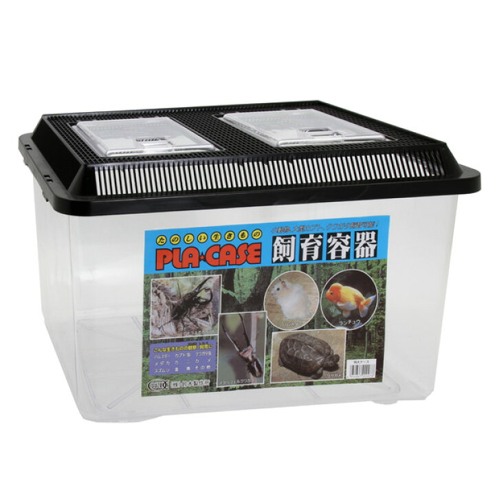 楽天市場】【鈴木製作所】飼育容器 特大 黒 【水槽/熱帯魚/観賞魚/飼育】【生体】【通販/販売】【アクアリウム/あくありうむ】【小型】 : ネオス 楽天市場店 楽天市場】【鈴木製作所】飼育容器 特大 黒 【水槽/熱帯魚/観賞魚/飼育】【生体】【通販/販売】【アクアリウム/あくありうむ】【小型】 : ネオス 楽天市場店