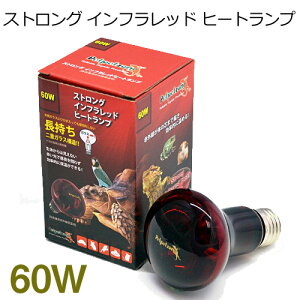 [XC@XgO Ctbh q[gv@60W@y񏤕izy/Mы/Ϗ܋/zýzyʔ/̔zyANAE/肤ށzy^z