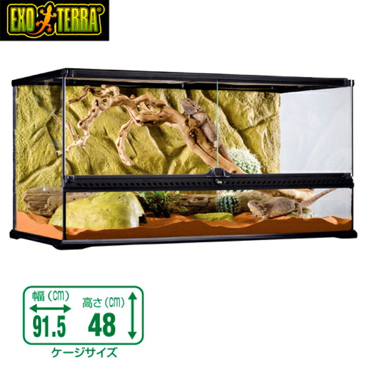 楽天市場】GEX グラステラリウム 9045 爬虫類 飼育 ケージ ガラス  