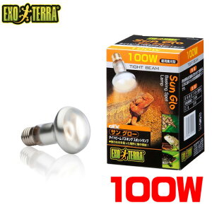 GEX EXO TERRA�i�G�L�]�e���j�@�T���O���[ �^�C�g�r�[�� �X�|�b�g�����v 100W�@PT2138 �y����/�M�ы�/�Ϗ܋�/����z�y���́z�y�ʔ�/�̔��z�y�A�N�A���E��/�������肤�ށz�y���^�z