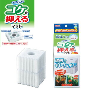 yjŎszGEX@J{[C M xXgJ RP}}bg 2y/Mы/Ϗ܋/zýzyʔ/̔zyANAE/肤ށzy^z