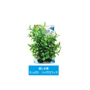 GEX 癒し水景 たっぷりハイグロフィラ【水槽/熱帯魚/観賞魚/飼育】【生体】【通販/販売】【アクアリウム/あくありうむ】【小型】