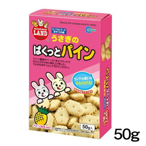 }J@̂ςƃpC@50g@MR-552y/a//GTzynX^[//X/bg/zyz