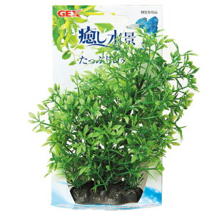 GEX 癒し水景 たっぷりロタラ【水槽/熱帯魚/観賞魚/飼育】【生体】【通販/販売】【アクアリウム/あくありうむ】【小型】
