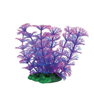 ニッソー ルミナスプランツ M-3 NAP-196【水槽/熱帯魚/観賞魚/飼育】【生体】【通販/販売】【アクアリウム/あくありうむ】【小型】