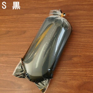 lIX@_JpJ[ےrj[܁@STCY@i10{փS20{j