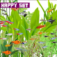 (熱帯魚セット)【ハッピーセット】5種類以上入っています　おまかせカラシン＆ラスボラ＆バルブ　（約1.5…