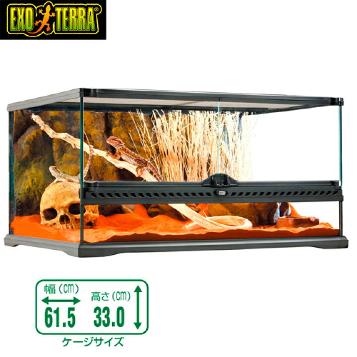 楽天市場】GEX グラステラリウム 6030 爬虫類 飼育 ケージ ガラス  