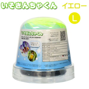 カミハタ いそぎんちゃくん L イエロー【水槽/熱帯魚/観賞魚/飼育】【生体】【通販/販売】【アクアリウム/あくありうむ】【小型】