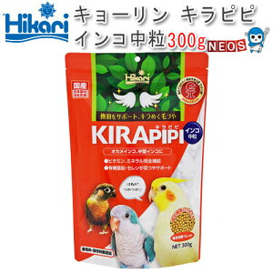 L[@Lss CR@ 300gy/a//GTzynX^[//X/bg/zy