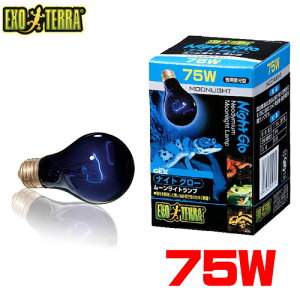 GEX EXO TERRAiGL]ej@iCgO[[Cgv 75W@PT2130 y/Mы/Ϗ܋/zýzyʔ/̔zyANAE/肤ށzy^z