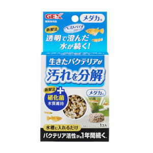 GEX@xXgoCIubN _Jpy/Mы/Ϗ܋/zýzyʔ/̔zyANAE/肤ށzy^z