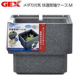 GEX　メダカ元気 快適繁殖ケース M【水槽/熱帯魚/観賞魚/飼育】【生体】【通販/販売】【アクアリウム/あくありうむ】【小型】