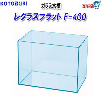 楽天市場】レグラスフラット f-450 lowの通販