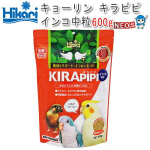 L[@Lss CR@ 600gy/a//GTzynX^[//X/bg/zy