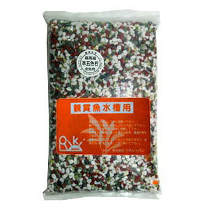 LWp@{ܐFij@5kg@y/Mы/Ϗ܋/zýzyʔ/̔zyANAE/肤ށzy^z