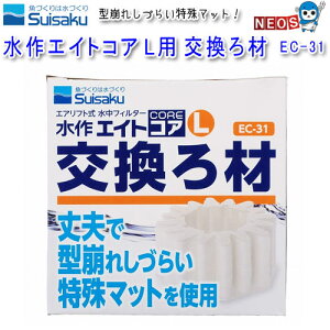 GCgRA@Lpށ@1@EC-31