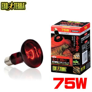 GEX EXO TERRA�i�G�L�]�e���j�@�q�[�g�O���[ �ԊO������ �X�|�b�g�����v 75W�@PT2142 �y����/�M�ы�/�Ϗ܋�/����z�y���́z�y�ʔ�/�̔��z�y�A�N�A���E��/�������肤�ށz�y���^�z