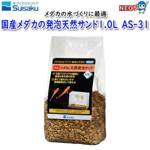 @Y_J̔AVRTh1.0L@AS-31
