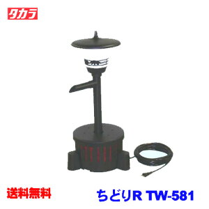 タカラ ちどりR TW-581【取寄せ商品】【水槽/熱帯魚/観賞魚/飼育】【生体】【通販/販売】【アクアリウム/あくありうむ】【小型】