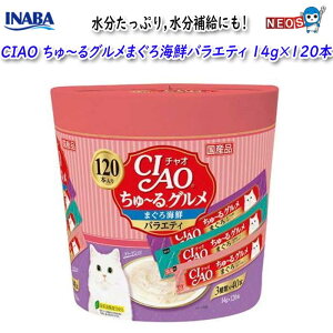 Ȃ΃ybgt[h@CIAO `O@܂CNoGeB@14g×120{@SC-211