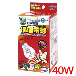 }J@ۉd@40W@HD-40yۉ/K/߂zynX^[//X/bg/zyz