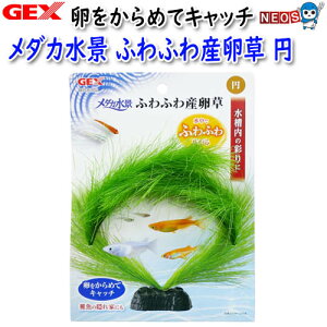 GEX@_Ji@ӂӂY@~