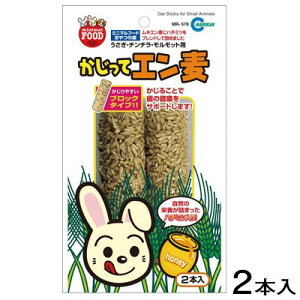 }J@ăG@2{@MR-578y/a//GTzynX^[//X/bg/zyz