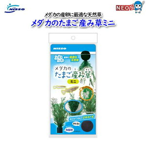 jb\[@NAP|589_Ĵ܂Yݑ~j