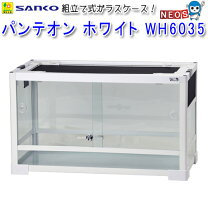 楽天市場】パンテオン6030の通販