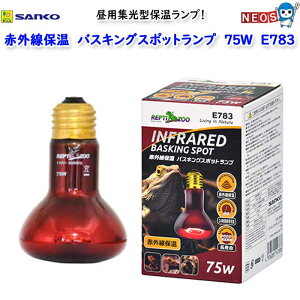 OW@ԊOۉoXLOX|bgv@75W@E783