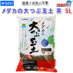 Xh[@_J̑ԋʓy @5L@S-5986